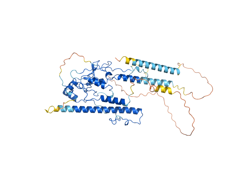 AlphaFold predicted structure of SIP5