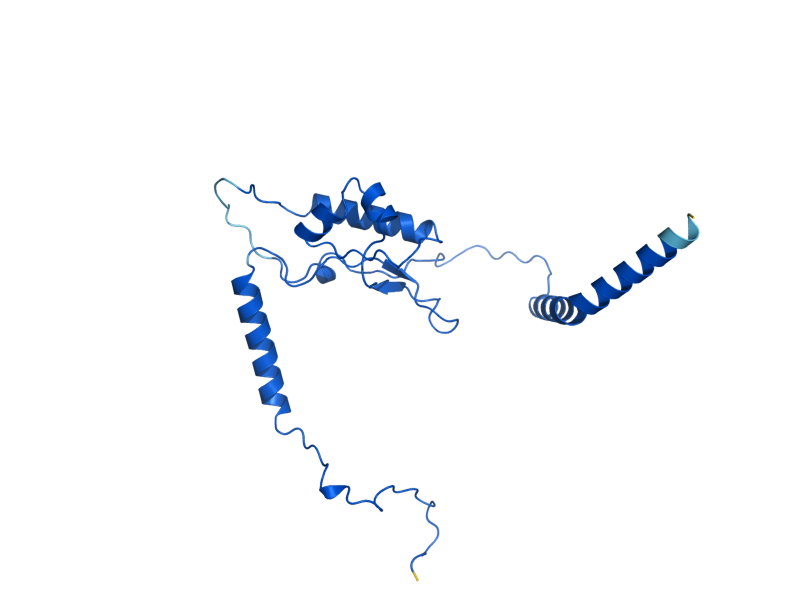 AlphaFold predicted structure of RPL13B
