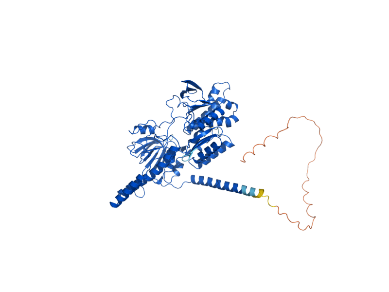 AlphaFold predicted structure of NDE1