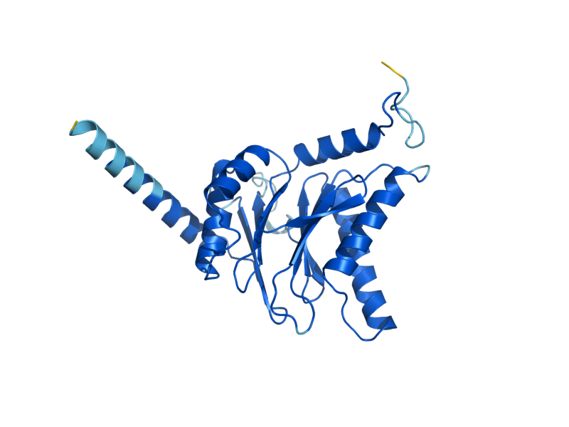 AlphaFold predicted structure of PRE6
