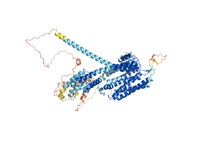 AlphaFold predicted structure of TOK1