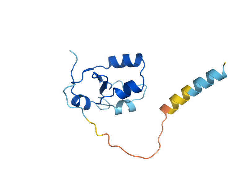 AlphaFold predicted structure of CYB5