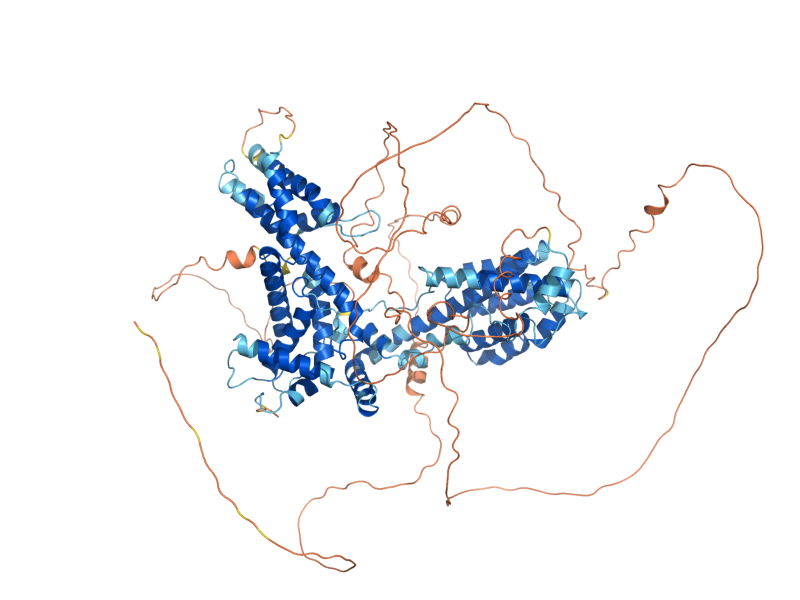 AlphaFold predicted structure of SOK1