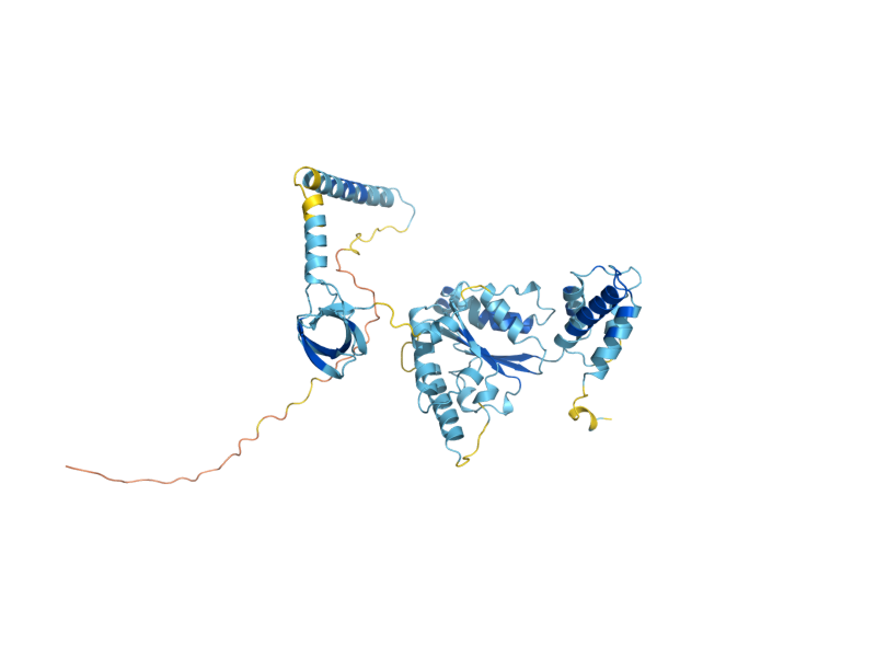 AlphaFold predicted structure of RPT2