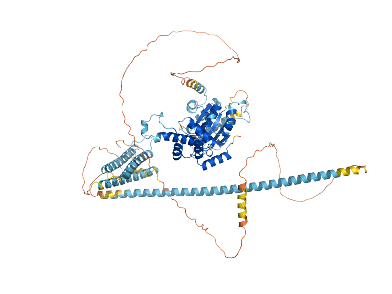 AlphaFold predicted structure of YTA6