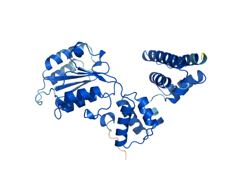 AlphaFold predicted structure of RFC4
