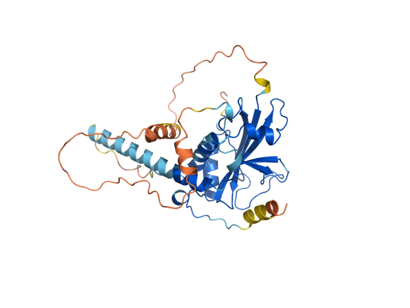 AlphaFold predicted structure of ATG3