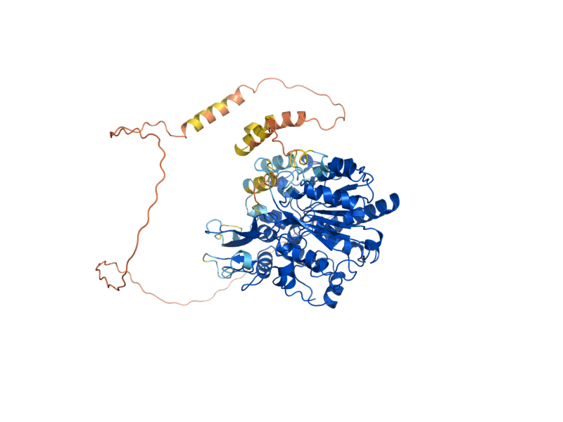 AlphaFold predicted structure of LRO1