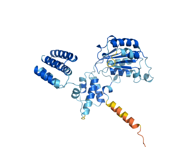 AlphaFold predicted structure of RFC2