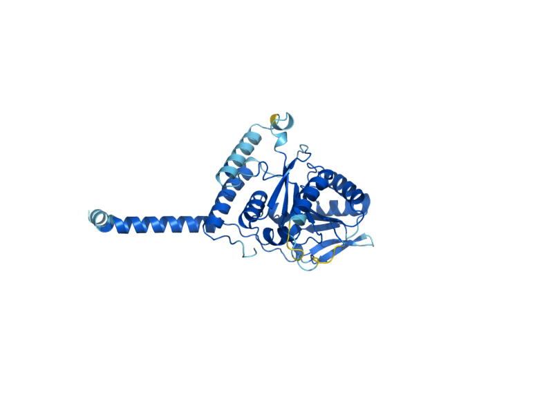 AlphaFold predicted structure of ALG5