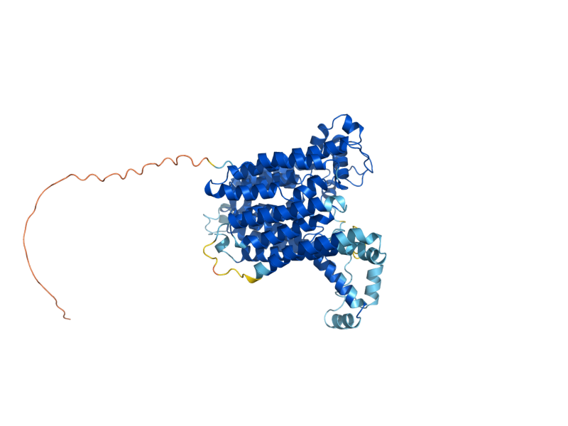 AlphaFold predicted structure of ALG8