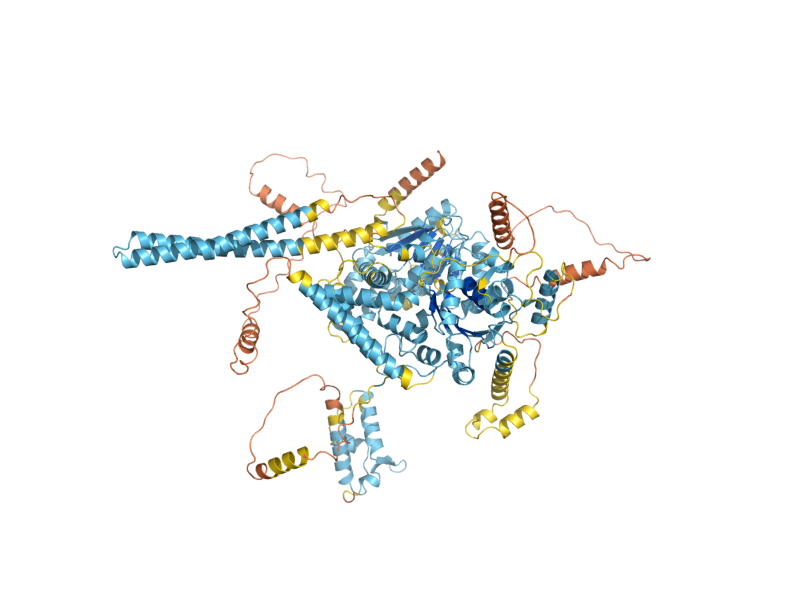 AlphaFold predicted structure of RAD26