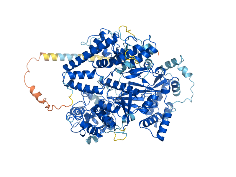 AlphaFold predicted structure of MNN14