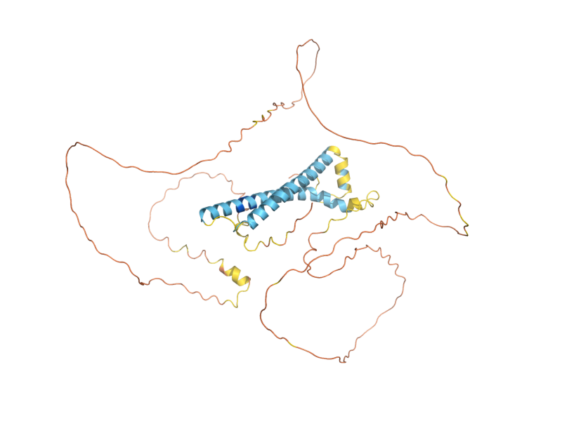 AlphaFold predicted structure of PGD1