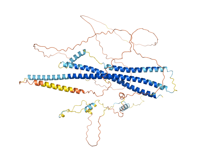 AlphaFold predicted structure of SEC9