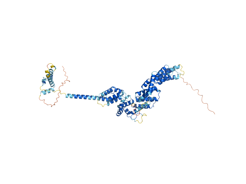 AlphaFold predicted structure of JEM1