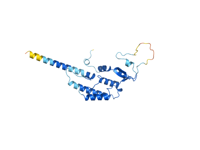AlphaFold predicted structure of PSF2