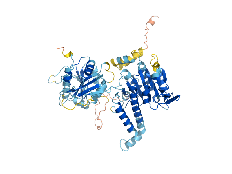 AlphaFold predicted structure of ARG2
