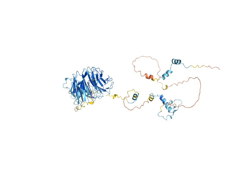 AlphaFold predicted structure of UTP18