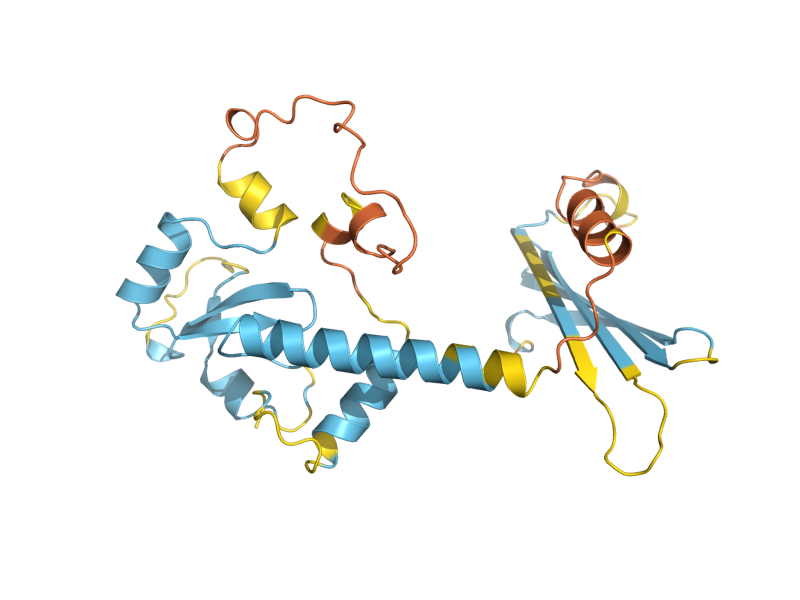 AlphaFold predicted structure of MPM1