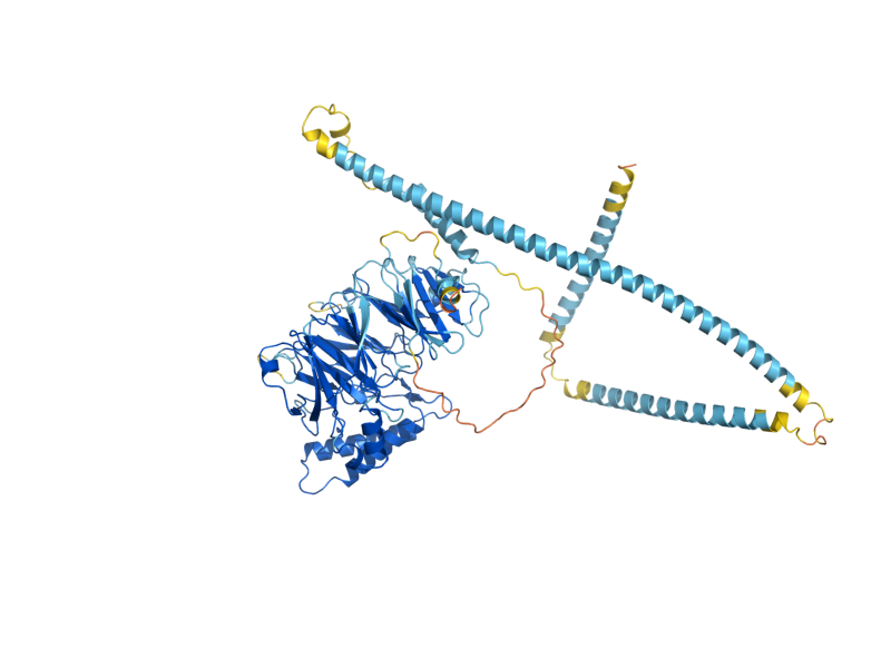 AlphaFold predicted structure of NUP82