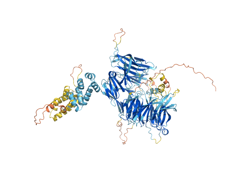 AlphaFold predicted structure of RIC1