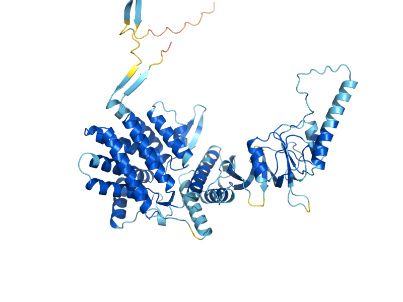 AlphaFold predicted structure of CCT5