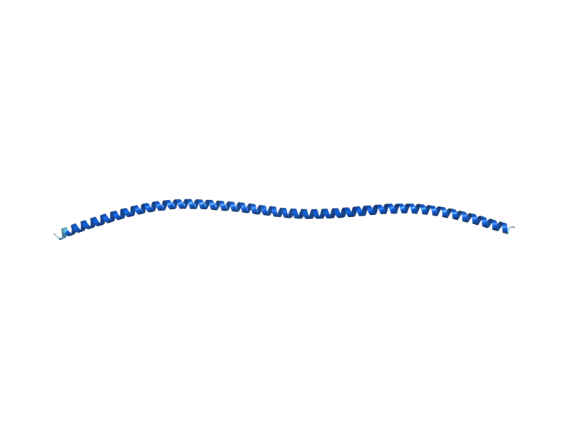 AlphaFold predicted structure of TPM2
