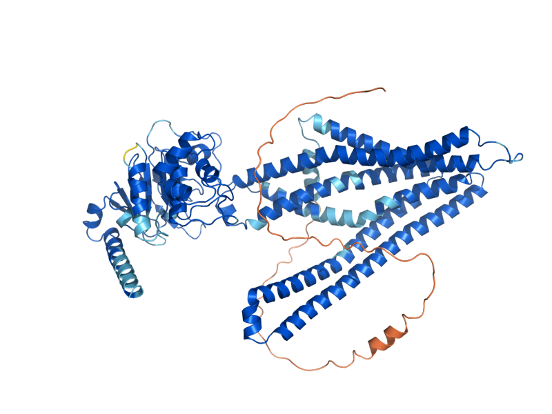AlphaFold predicted structure of ATM1