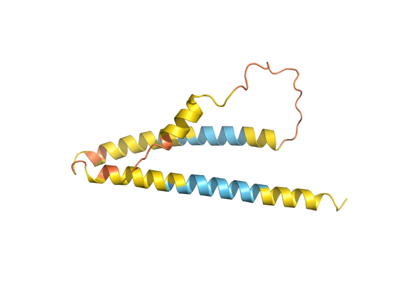 AlphaFold predicted structure of YIL163C