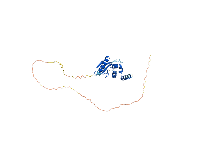 AlphaFold predicted structure of SMU2
