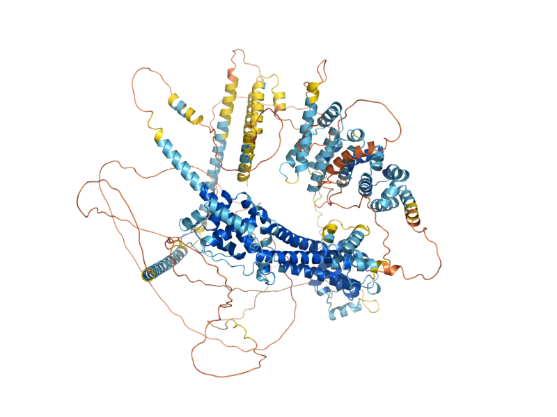 AlphaFold predicted structure of BNR1