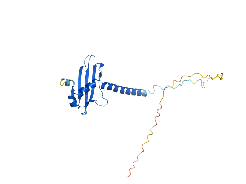 AlphaFold predicted structure of COA1