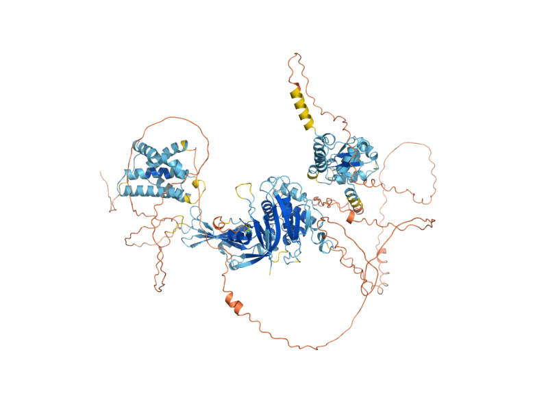 AlphaFold predicted structure of UBP7