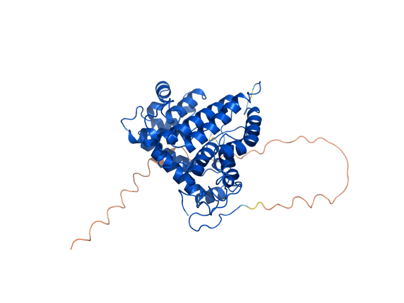 AlphaFold predicted structure of RRD1
