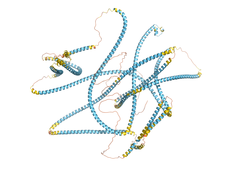 AlphaFold predicted structure of MLP2