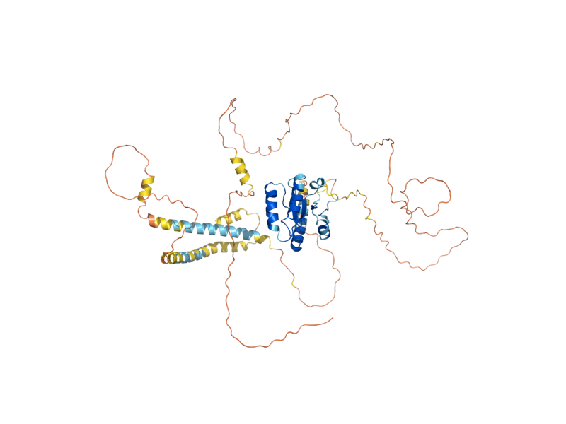 AlphaFold predicted structure of ATG32