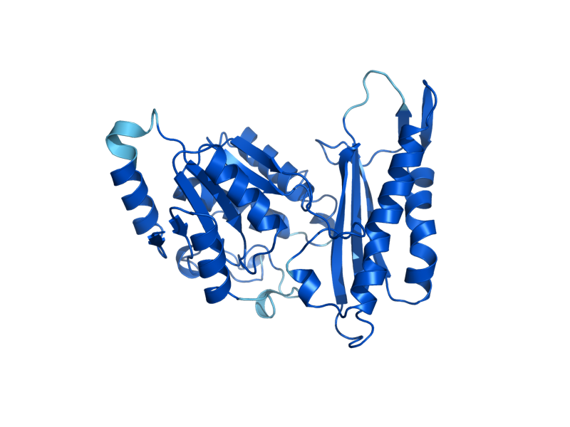 AlphaFold predicted structure of PAN6