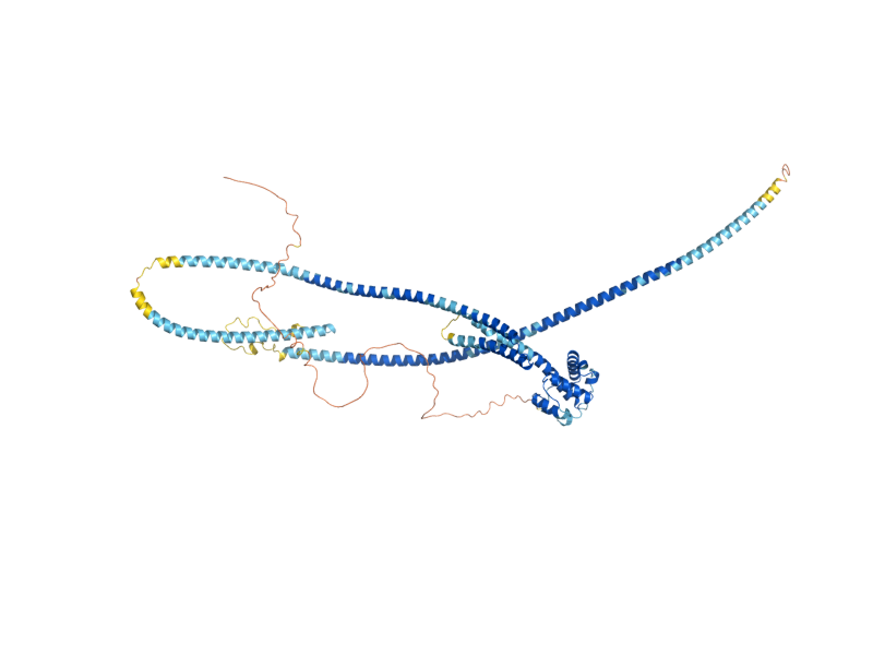 AlphaFold predicted structure of NDC80