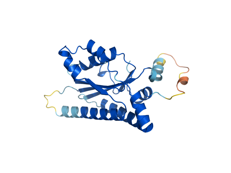 AlphaFold predicted structure of CSM2