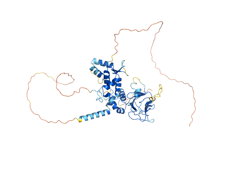 AlphaFold predicted structure of FKH1