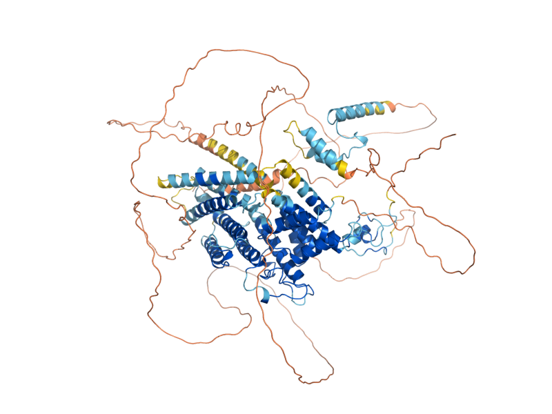 AlphaFold predicted structure of ASG1