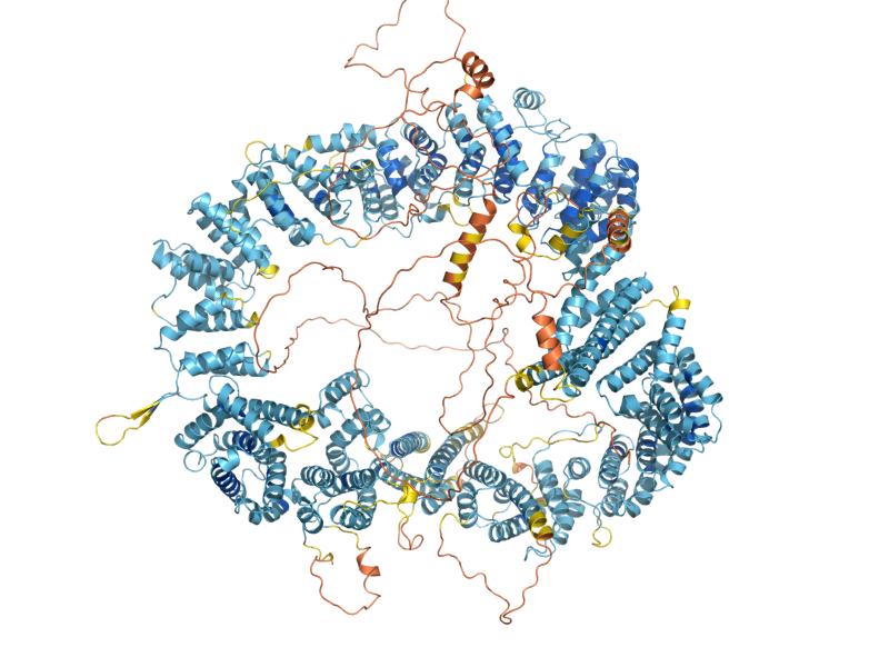 AlphaFold predicted structure of TAO3