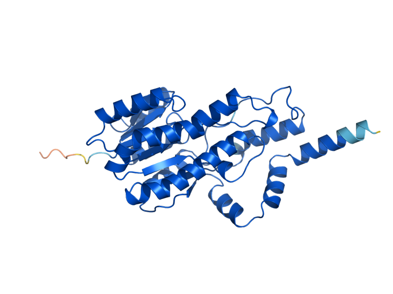 AlphaFold predicted structure of AYR1