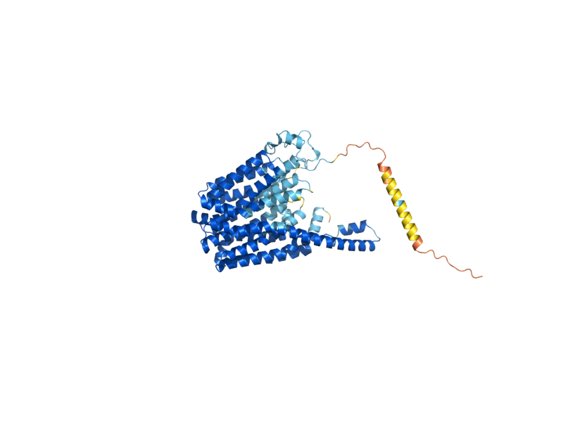 AlphaFold predicted structure of QDR2
