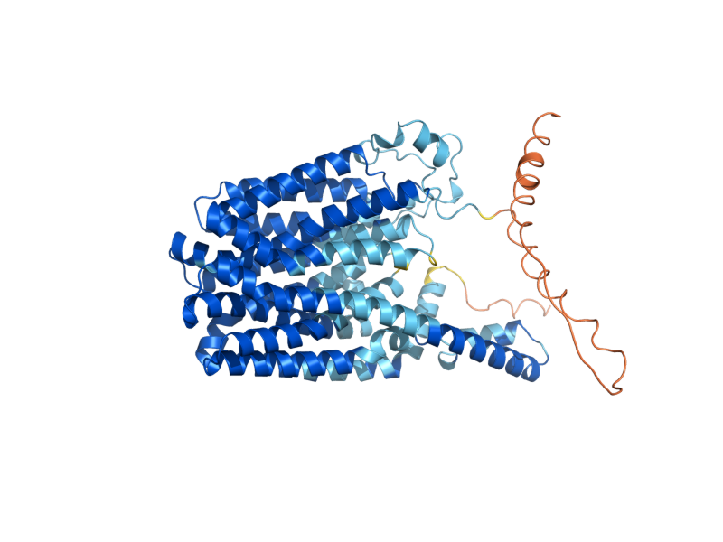 AlphaFold predicted structure of QDR1