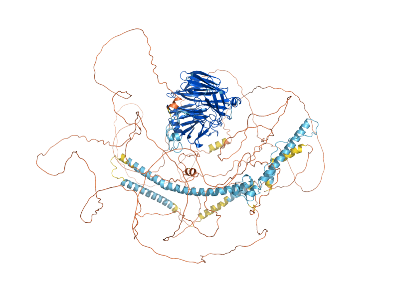 AlphaFold predicted structure of NUP159