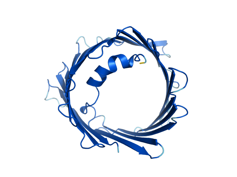AlphaFold predicted structure of POR2