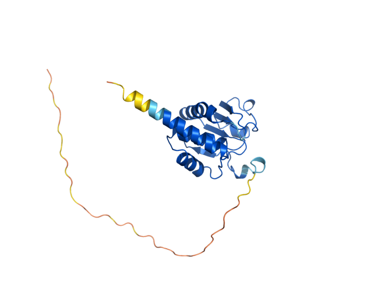 AlphaFold predicted structure of SDP1