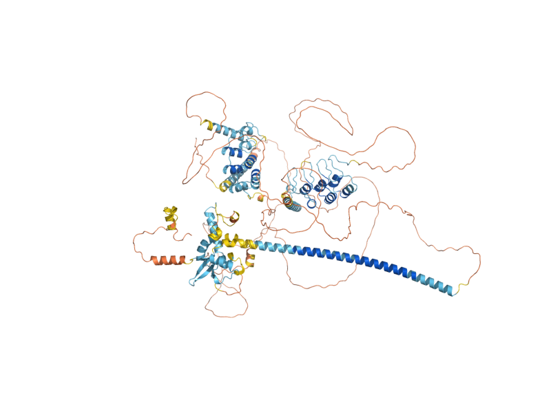 AlphaFold predicted structure of HOS4